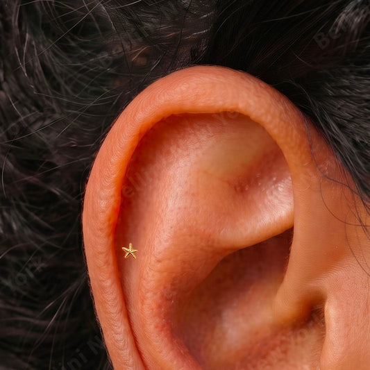 Tiny Starfish Push Pin