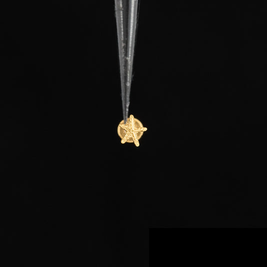 Tiny Starfish Push Pin