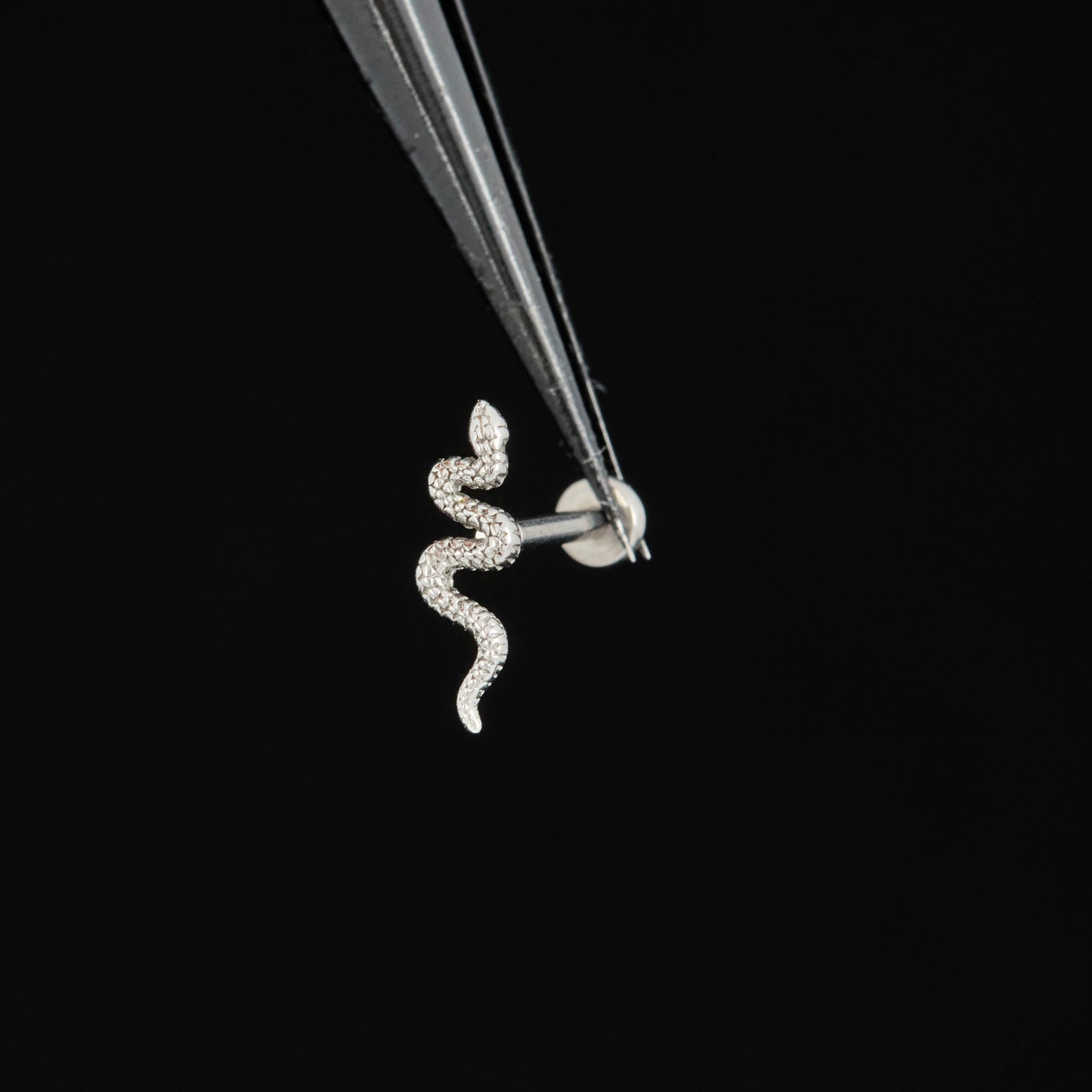 Snake Push Pin