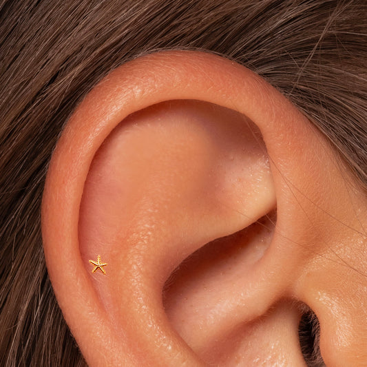 Tiny Starfish Push Pin