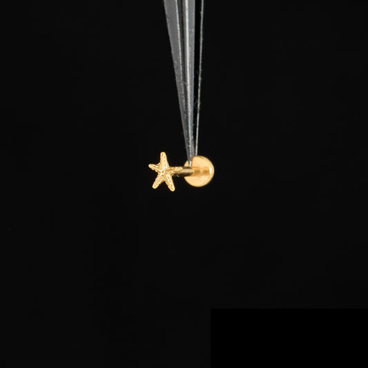 Tiny Starfish Push Pin